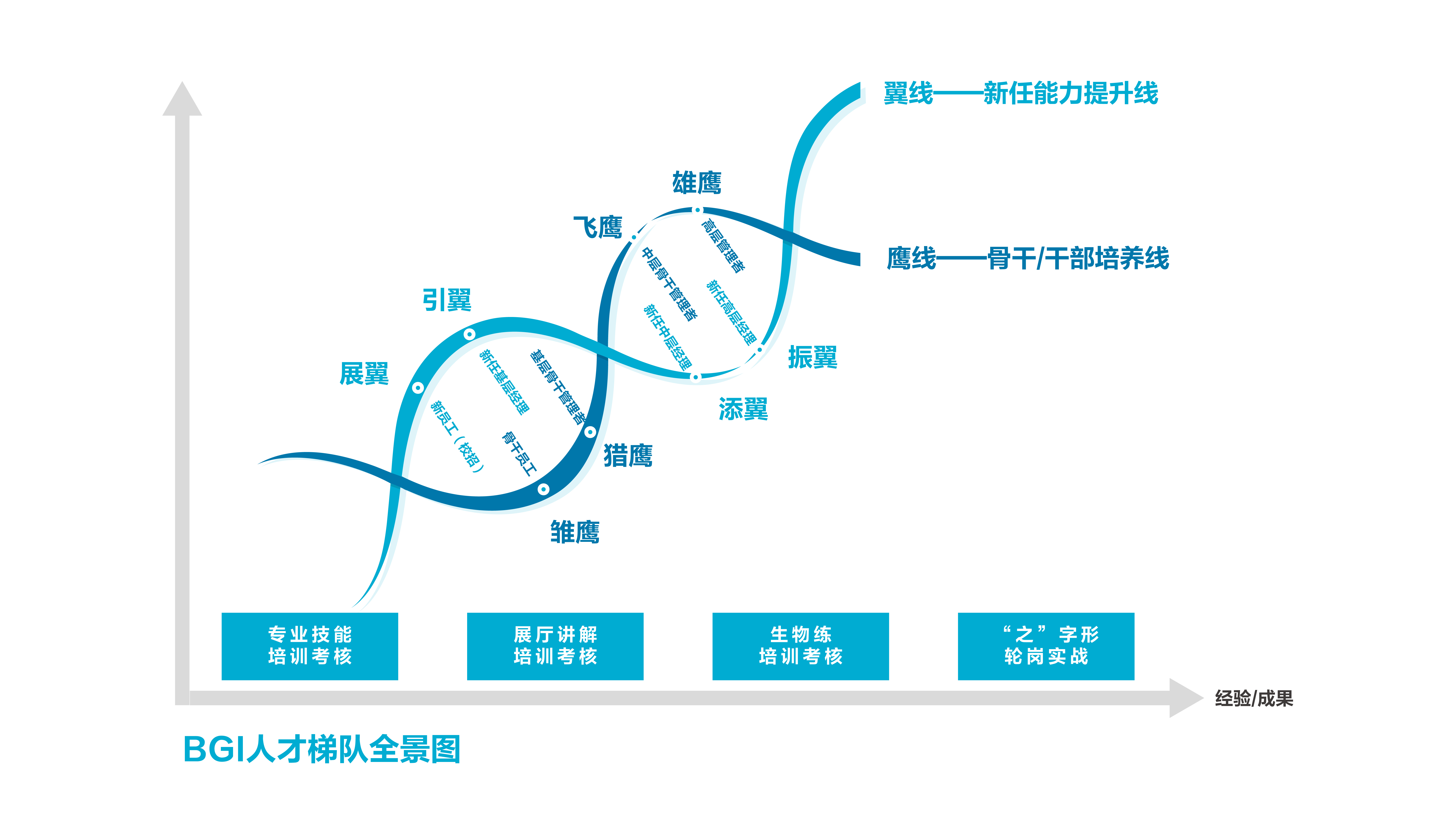 欧博abg - 官方网址登录入口